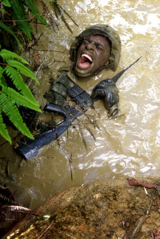 Marine Cpl. Robert D. Adams struggles through a water-filled ditch on the endurance course at the Jungle Warfare Training Center at Okinawa, Japan, on Aug. 3, 2001. The week long training is capped by an endurance course designed to test the Marines' endurance and leadership skills. Adams is a heavy equipment operator with the Marine Expeditionary Unit Service Support Group-31 deployed from Camp Hansen, Okinawa, for the training. 