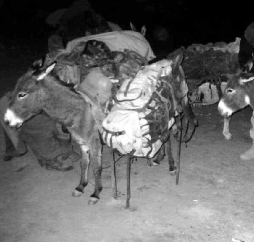 U.S. special forces troops are using pack animals to carry equipment as they work with members of the Northern Alliance in Afghanistan during Operation Enduring Freedom on Nov. 12, 2001. 