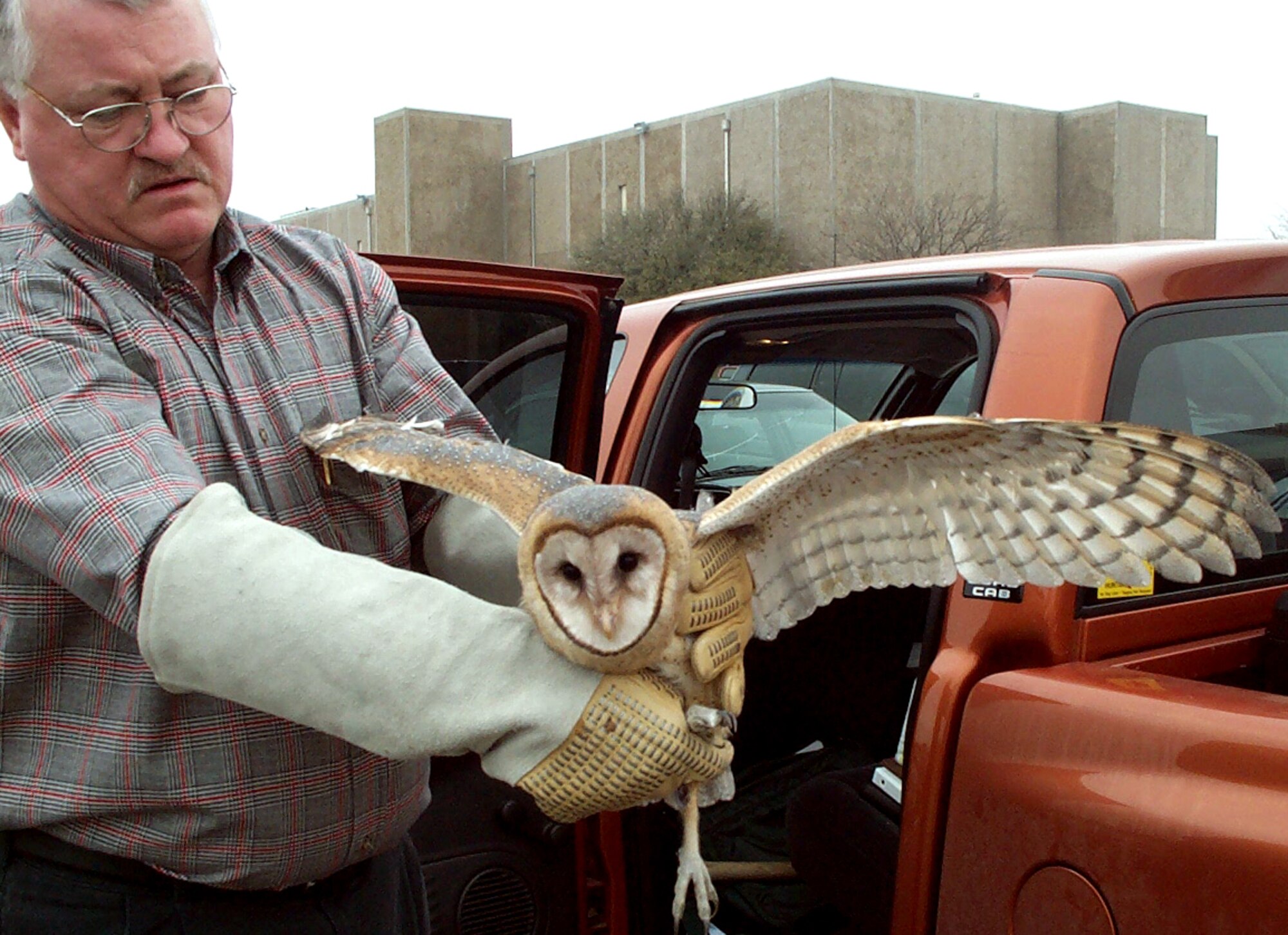 SHEPPARD AIR FORCE BASE, Texas -- Tim Hunter, an 82nd Civil Engineer Squadron agronomist, handles a barn owl that was found in hangar.  The owl was released 25 miles away from the base into a more suitable and safer environment.  (Courtesy photo)