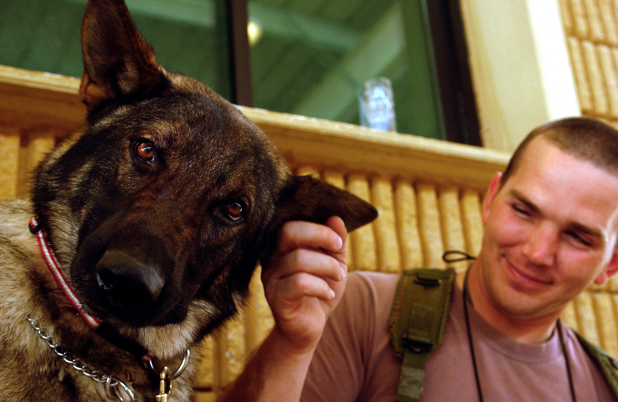 OPERATION IRAQI FREEDOM -- Staff Sgt. Chad Reemtsna, a military working dog handler and Hero, his military working dog both deployed from the 18th Security Forces Squadron, Kadena Air Base, Japan to the 363rd Expeditionary Security Forces Squadron, spend quality time together while waiting for more vehicles to search during a mobile security patrol on April 8. Before military working dogs can be deployed they must pass an explosive ordinance test. The 363rd ESFS search crews work around the clock checking coalition forces, third country nationals, and contractor vehicles for bombs and other explosive devices in support of Operation Iraqi Freedom at a forward deployed location in Southwest Asia.   (U.S. Air Force Photo by Staff Sgt. Matthew Hannen) 
