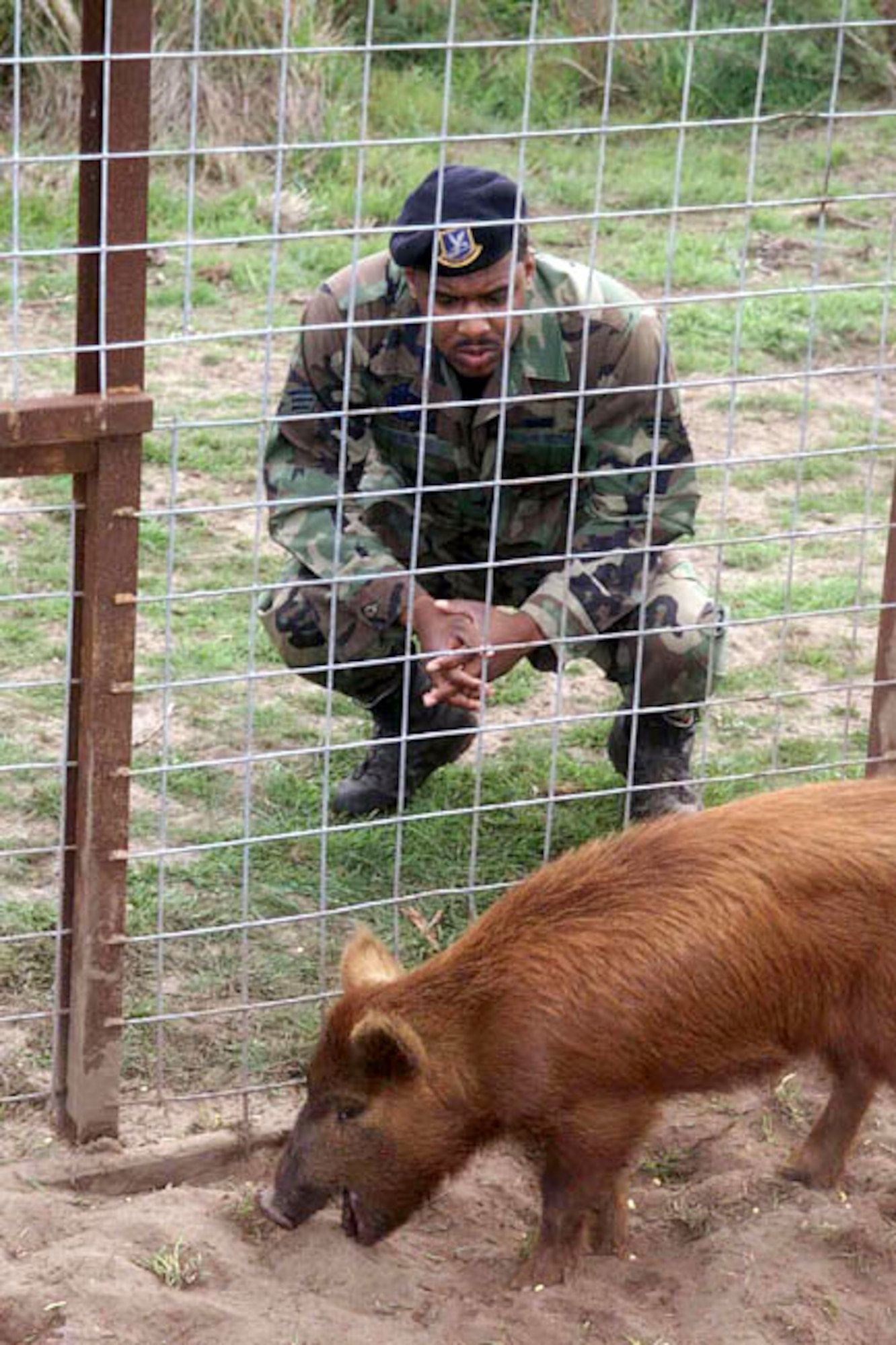 VANDENBERG AIR FORCE BASE, Calif. -- Staff Sgt. Damion McElroy, the 30th Security Forces Squadron game warden here, traps wild pigs on base and donates them to feed the homeless in nearby Lompoc.  He started Hunters Against Hunger, a program that gives hunters the opportunity to donate their excess game to feed homeless people.  (Courtesy photo)