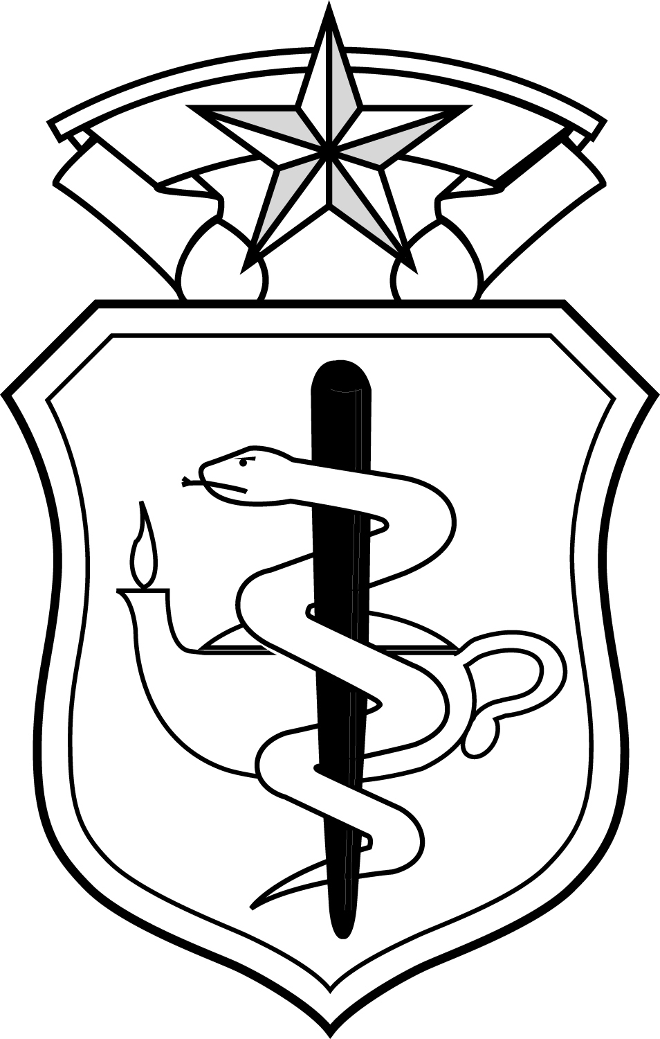 Nurse Corps badge