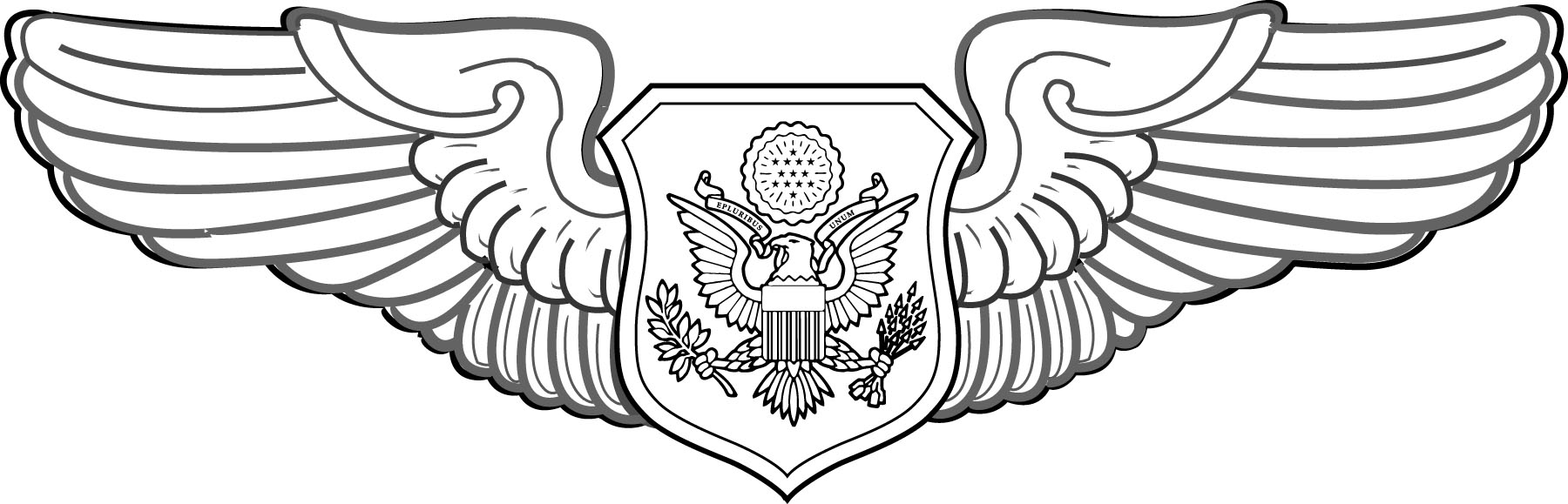 Officer Aircrew Member badge