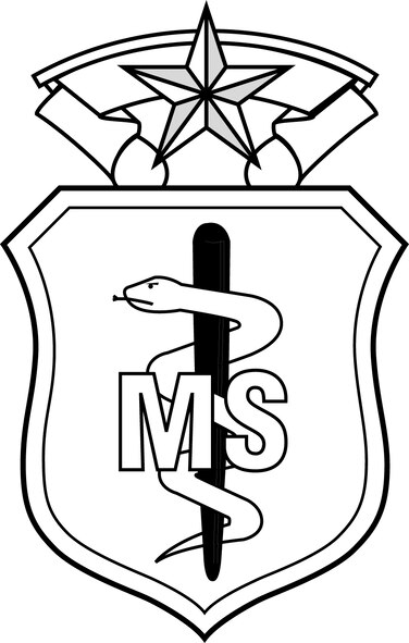 Medical Service Corps, command level (b/w), U.S. Air Force graphic