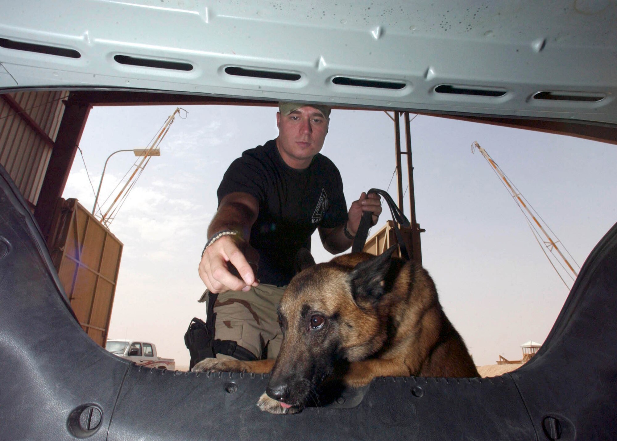 PRINCE SULTAN AIR BASE, Saudi Arabia -- Staff Sgt. John Smithhart, a K-9 handler with the 363rd Expeditionary Security Forces Squadron, and his military working dog, Rex, inspect a vehicle for explosives.  Smithhart and Rex have been deployed from the 52nd SFS at Spangdahlem Air Base, Germany, for more than five months.  The 363rd Air Expeditionary Wing's primary mission was to enforce the southern no-fly zone over Iraq.  It was also the largest deployed combat wing in theater for Operation Iraqi Freedom.  (U.S. Air Force photo by Master Sgt. John E. Lasky)