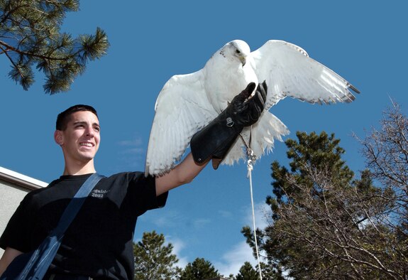 U.S. AIR FORCE ACADEMY, Colo. -- Cadet Anthony Cannone trains Aurora, a gyr falcon and academy mascot.  The 11 birds in the falconry program here were vaccinated against the West Nile virus after seven magpies were found dead on campus.  (U.S. Air Force photo by Tech. Sgt. Ken Wright)