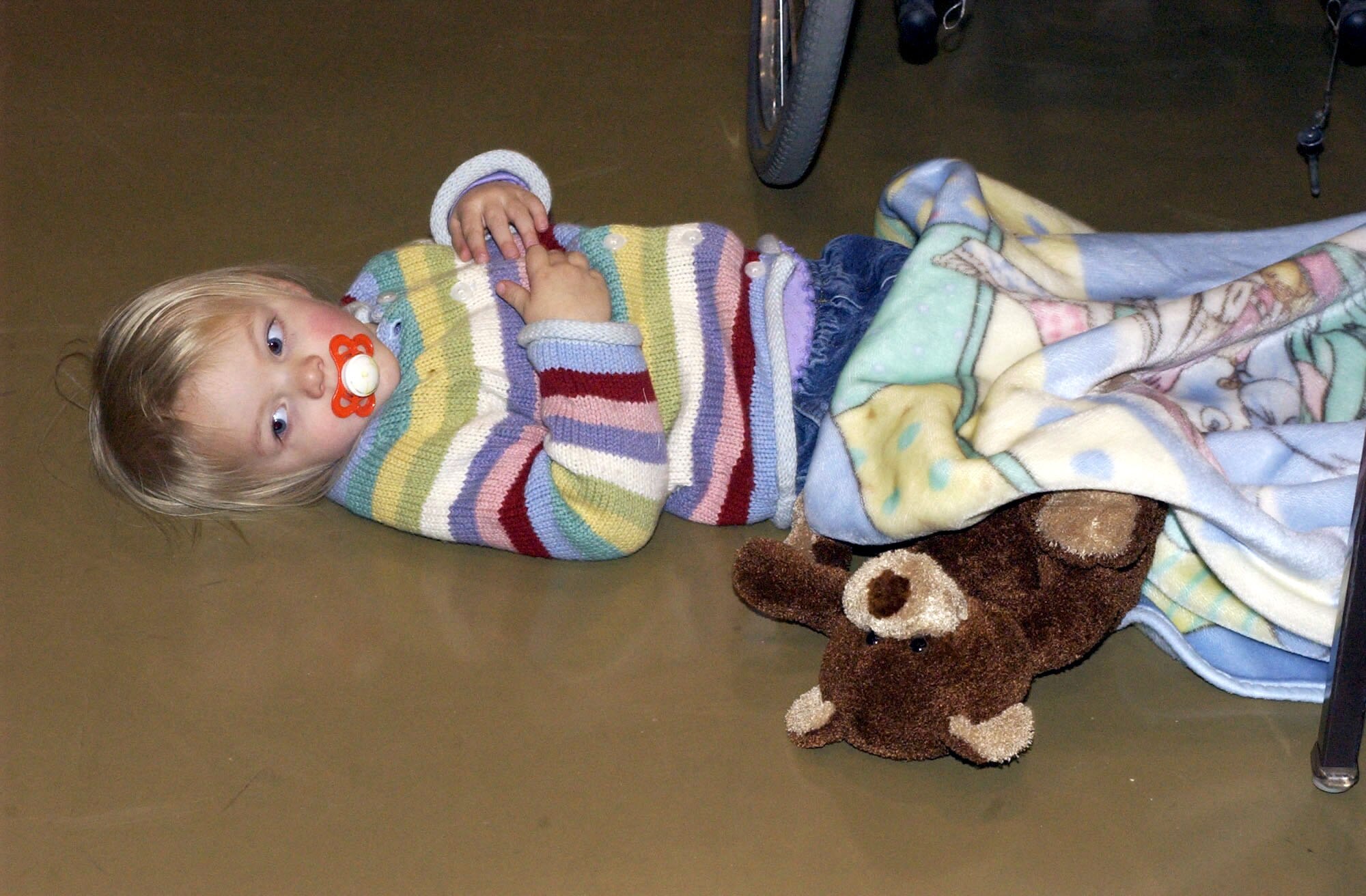 ROSEMONT, Minn. -- The young daughter of a Minnesota National Guard member shares her blanket with her new Guardian Bear.  More than 1,000 Guardian Bears have been handed out in 2003.  The bears, which are free to Minnesota Guard members, are purchased through donations given to the National Guard Foundation.  (U.S. Air Force photo by Senior Airman Cheryl Hackley)
