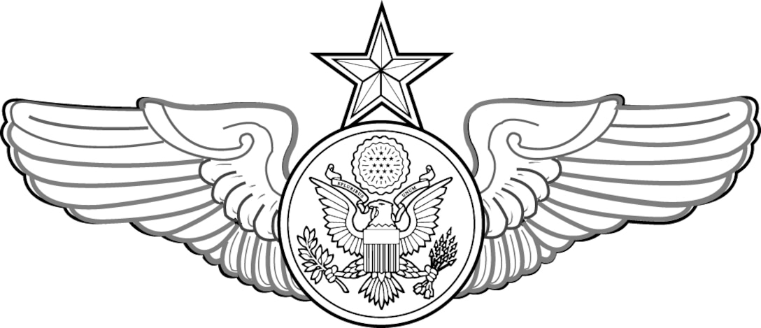 Senior Enlisted Aircrew badge