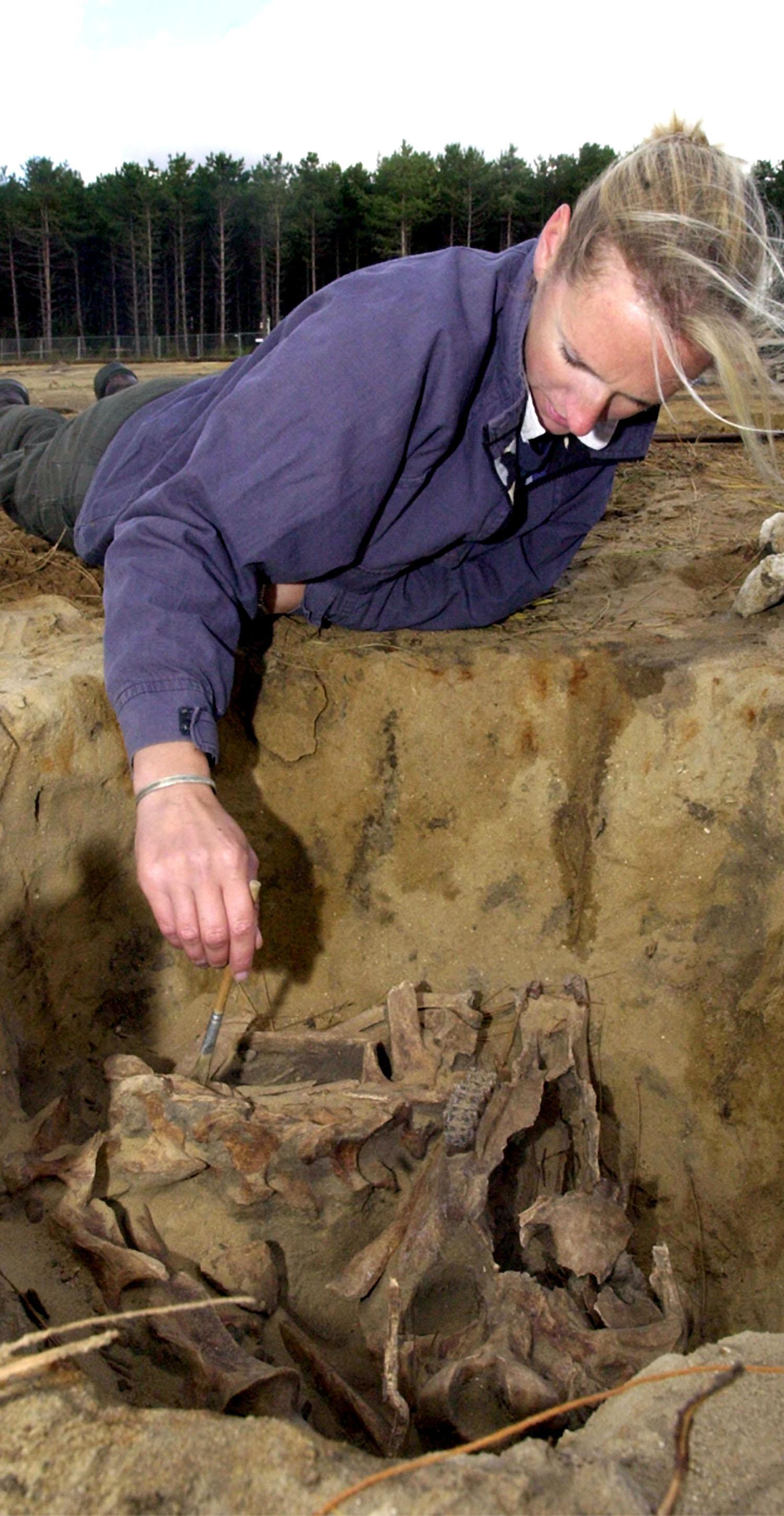 Archaeologists dig for answers at Mildenhall > Air Force > Article Display