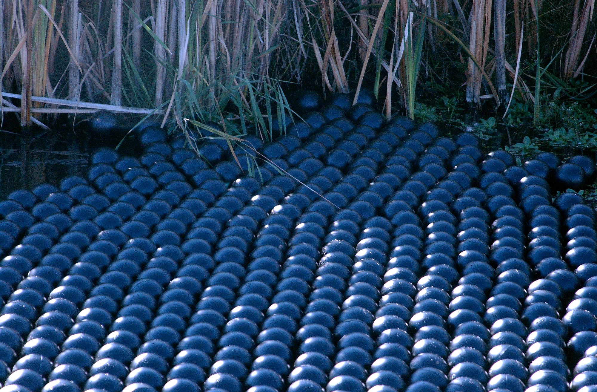 FAIRCHILD AIR FORCE BASE, Wash. -- In a new test to prevent airfield bird strikes here, small, environmentally safe balls cover a drainage ditch, blocking ultraviolet rays and preventing plant growth.  This makes the ditch less desirable for birds to roost in.  (U.S. Air Force photo by Airman Christie Putz)