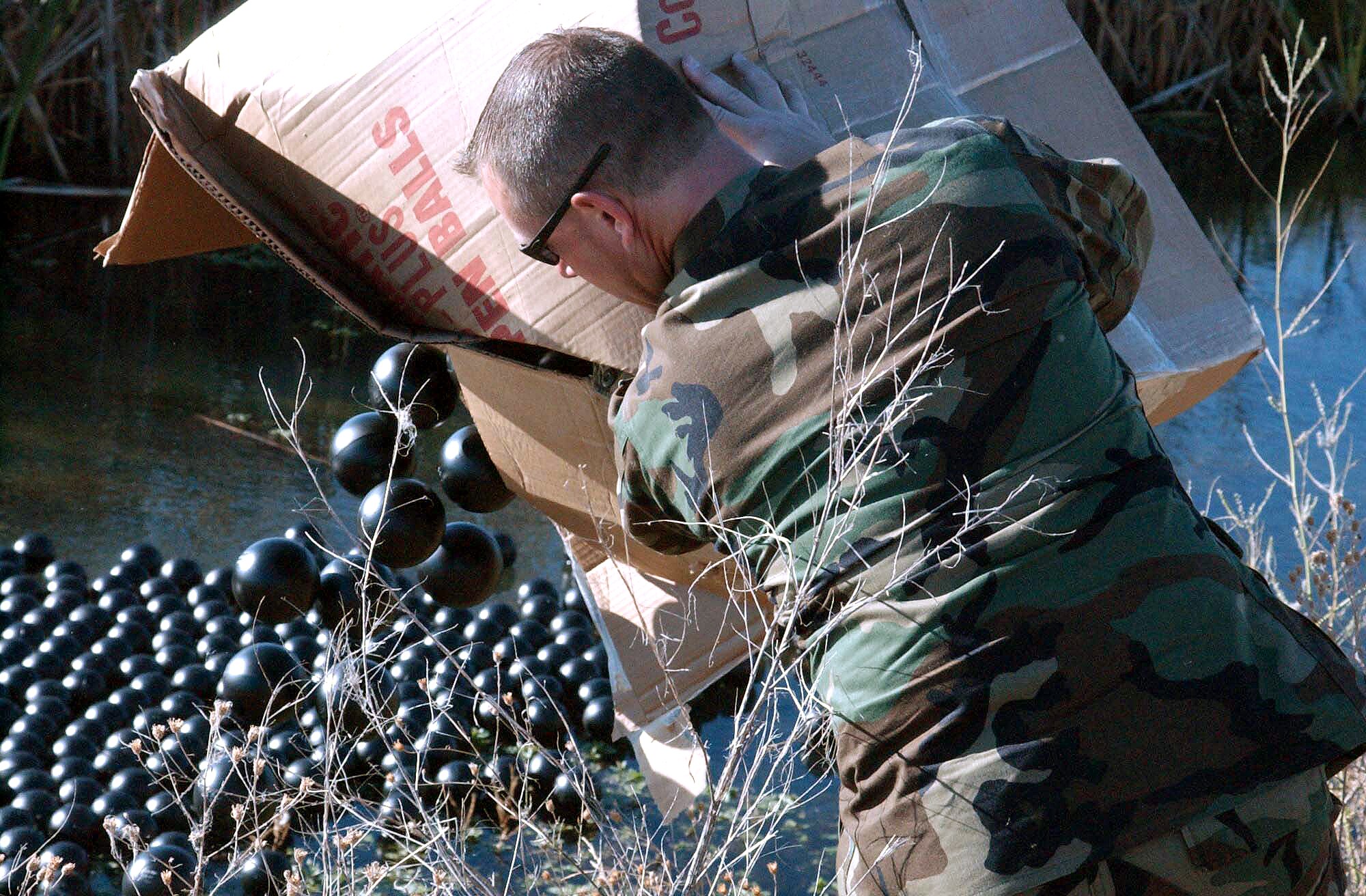 FAIRCHILD AIR FORCE BASE, Wash. -- Master Sgt. Stacy Maier dumps a box of "bird balls" into a drainage ditch along the flightline here.  Fairchild is the first Air Force base to use this newest form of protection against bird strikes.  Maier is with the 92nd Air Refueling Wing's flight safety office.  (U.S. Air Force by Airman Christie Putz)