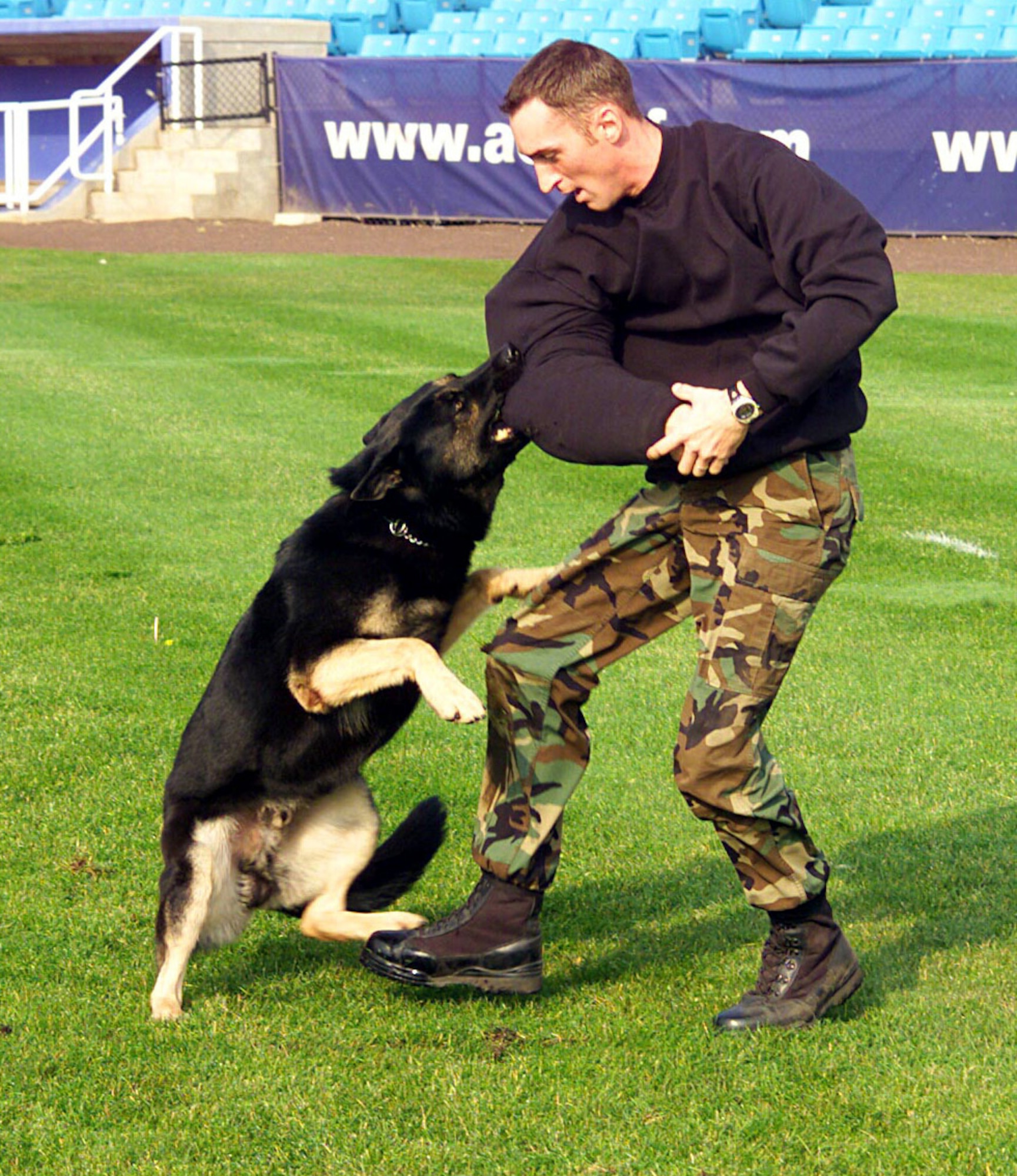 ATLANTIC CITY, N.J. -- Brian, a military working dog, apprehends teammate Staff Sgt. Justin Marshall during the criminal apprehension event at the U.S. Police Canine National Field Trials here.  The team, which also included Brian's handler, Staff Sgt. Jeremiah Jessen, scored a 333 out of 340 points in the event, finishing in fourth place out of 127 teams.  The team is part of the 28th Security Forces Squadron military working dog section at Ellsworth Air Force Base, S.D.  (U.S. Air Force photo by Airman 1st Class Jason Piatek)