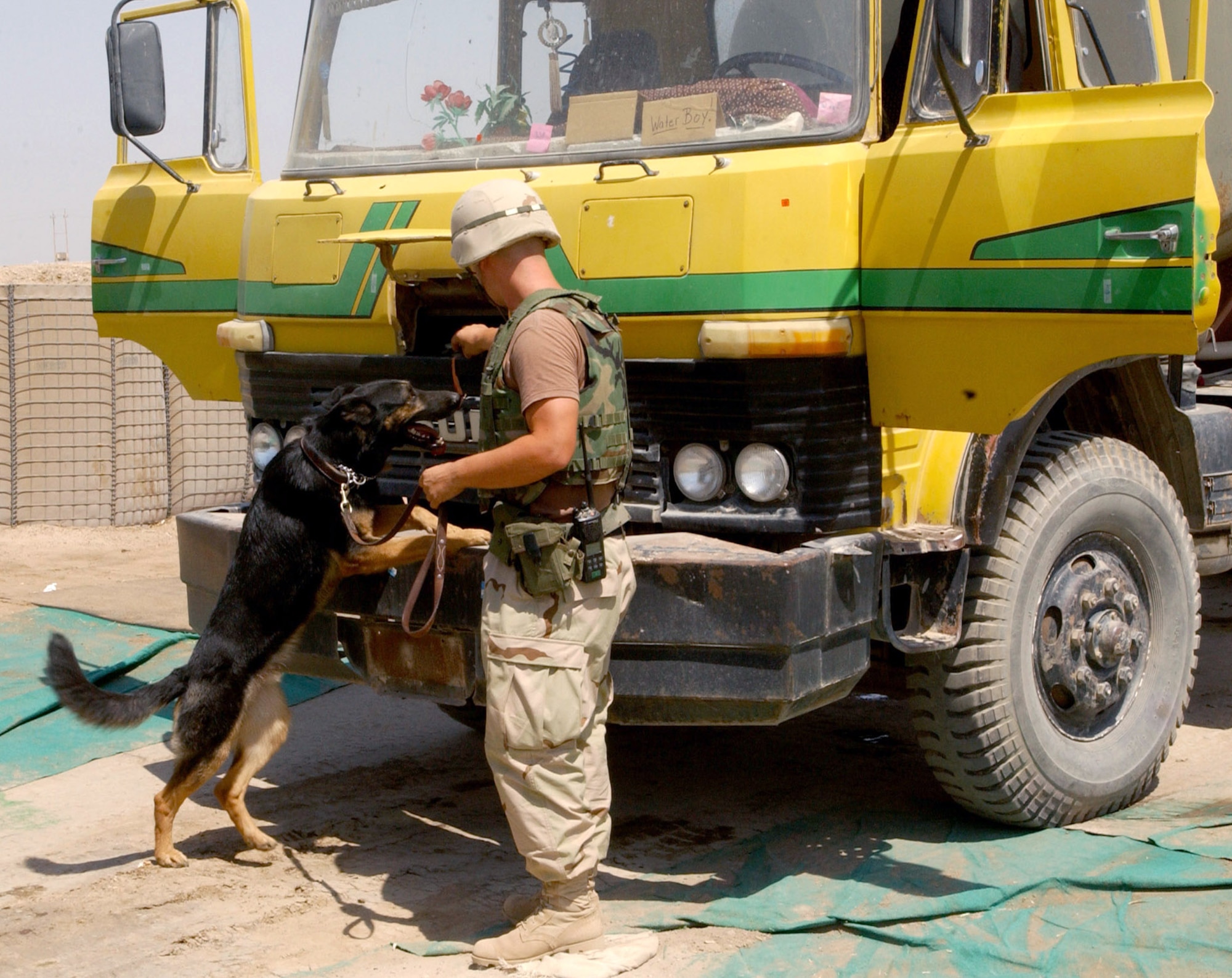 BAGHDAD, Iraq -- Staff Sgt. Dan Hartley, 447th Expeditionary Security Forces Squadron military working dog handler, and military working dog, Cody, check for explosives on a vehicle at a Baghdad International Airport checkpoint.  They are one of several military working dog teams here supporting Operation Iraqi Freedom.  Hartley and Cody are both deployed from the 66th Security Forces Squadron at Hanscom Air Force Base, Mass.  (U.S. Air Force photo by Airman 1st Class Brian Ferguson)