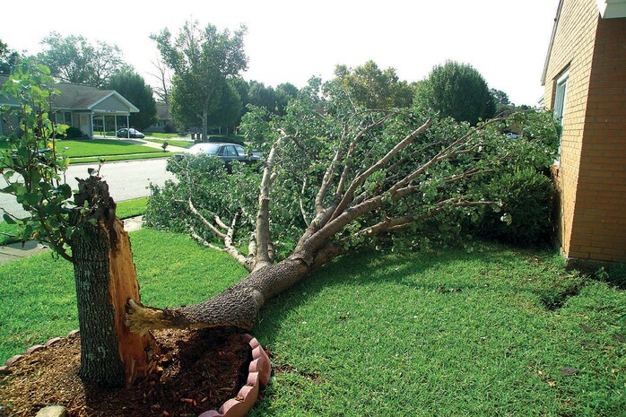 CHARLESTON AIR FORCE BASE, S.C. (AFPN) -- Tropical Storm Gaston hit here Aug. 29 causing minor damage and power outages.  The outages began at 9 a.m. and all power was restored by 7 p.m.  No aircraft were on the base when the storm hit.  Most were supporting airlift missions worldwide, but 20 aircraft moved to MacDill Air Force Base, Fla., one to New Orleans and one to Navy North Island, Calif.  Sixteen buildings, most of them in base housing, received minor damage.  (U.S. Air Force photo by Tech. Sgt. Rich Kaminski)