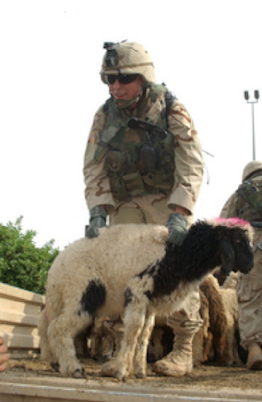U.S. Army soldiers offload sheep from a truck during a humanitarian relief effort in the area of Sadr City near Baghdad, Iraq, on Nov. 8, 2004. The soldiers are assigned to 2nd Battalion, 5th Infantry Regiment, 1st Cavalry Division from Fort Hood, Texas. 
