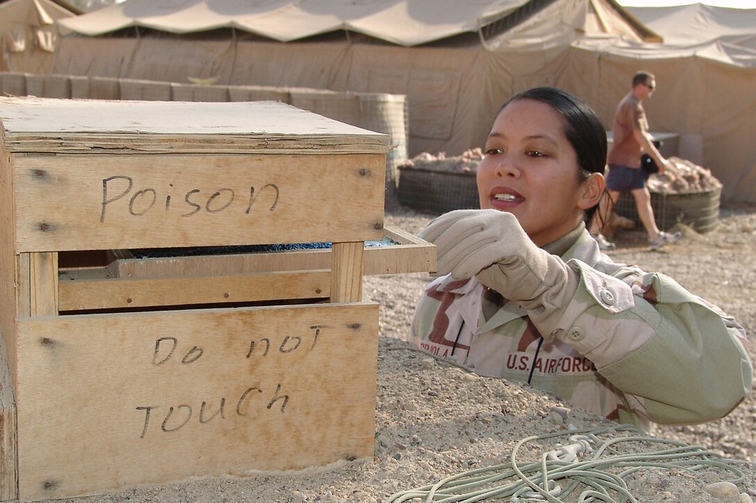 BAGHDAD, Iraq -- Senior Airman Amy Arriola changes a tray of fly bait.  She is the pest controller for the 447th Expeditionary Civil Engineer Squadron at Camp Sather here, and is deployed from Guam Air National Guard's 254th CES.  (U.S. Air Force photo by Tech Sgt. Michael O'Conner)
