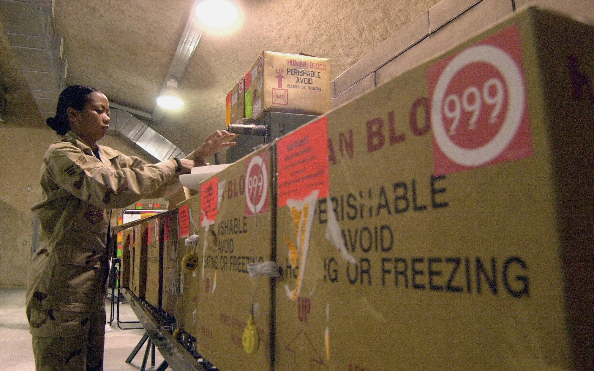 SOUTHWEST ASIA -- Senior Airman Happy Sanchez inventories several boxes of red blood cells from a shipment.  She is assigned to the blood transshipment center at a forward-deployed location here.  (U.S. Air Force photo by Staff Sgt. Bryan Bouchard)