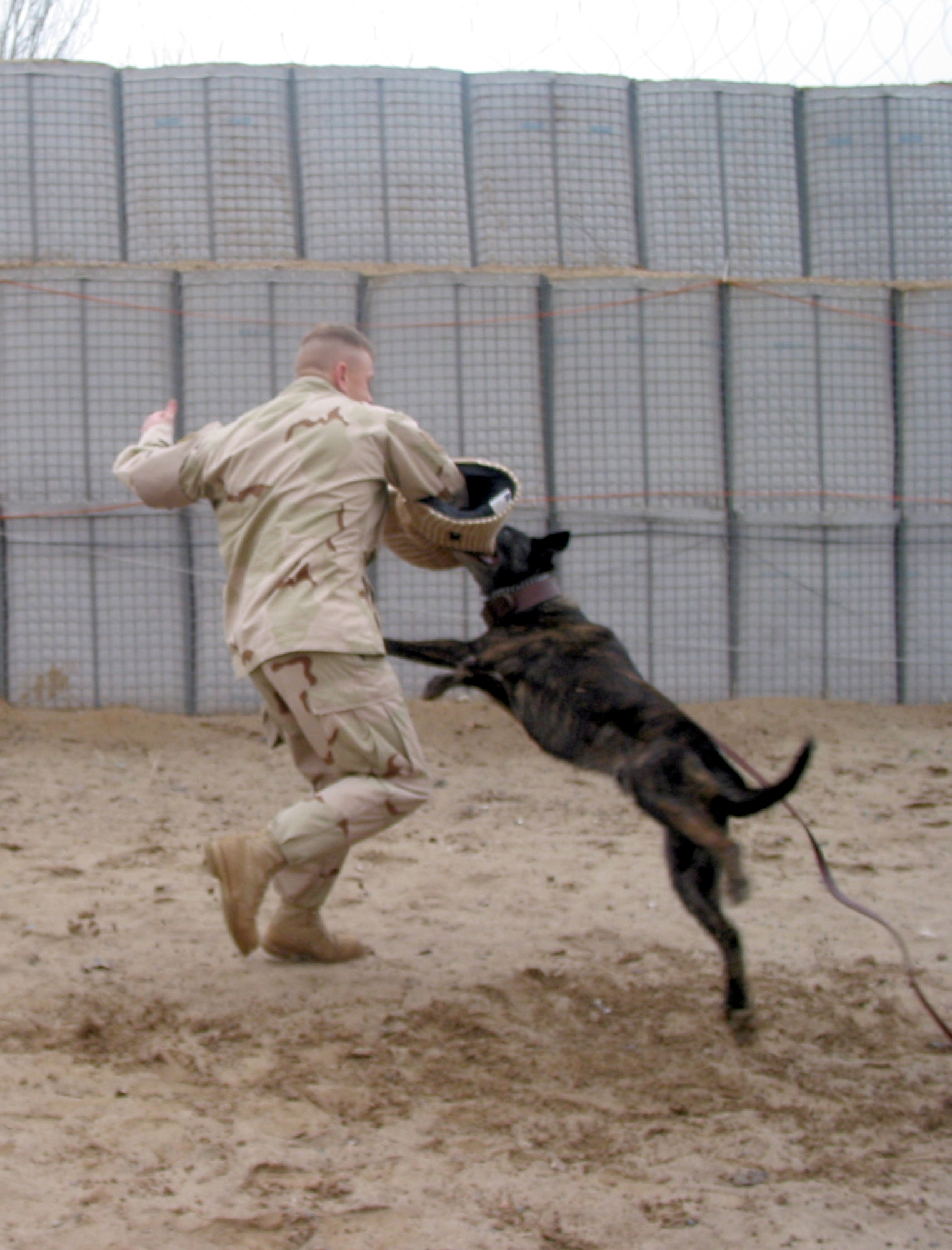 MANAS AIR BASE, Kyrgyzstan -- Tech. Sgt. Robert Debrosse and Rocky, a military working dog here, conduct attack training at the MWD training area.  Sergeant Debrosse is a dog handler with the 376th Expeditionary Security Forces Squadron.  (U.S. Air Force photo by Capt. Brus Vidal)
