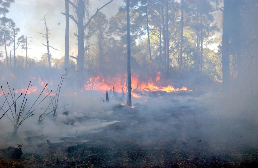 MACDILL AIR FORCE BASE, Fla. -- No injuries were reported during the prescribed burn that lasted more than 12 hours.  (U.S. Air Force photo by Staff Sgt. Randy Redman)