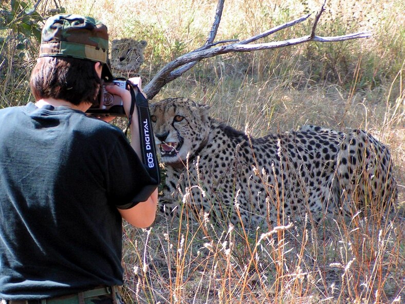 DITHOLO, South Africa -- Capt. Jenny Christian gets up close and personal with one of three cheetahs that roam the South African flightline here.  The cheetahs keep the runway free of small mammals that sometimes wander in the way of landing aircraft.  Captain Christian is deployed from Royal Air Force Mildenhall, England.  (Courtesy photo)