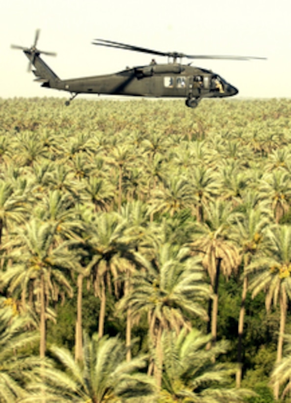 A Florida National Guard UH-60 Blackhawk Helicopter soars over the palm forests of northern Iraq on July 20, 2004. 