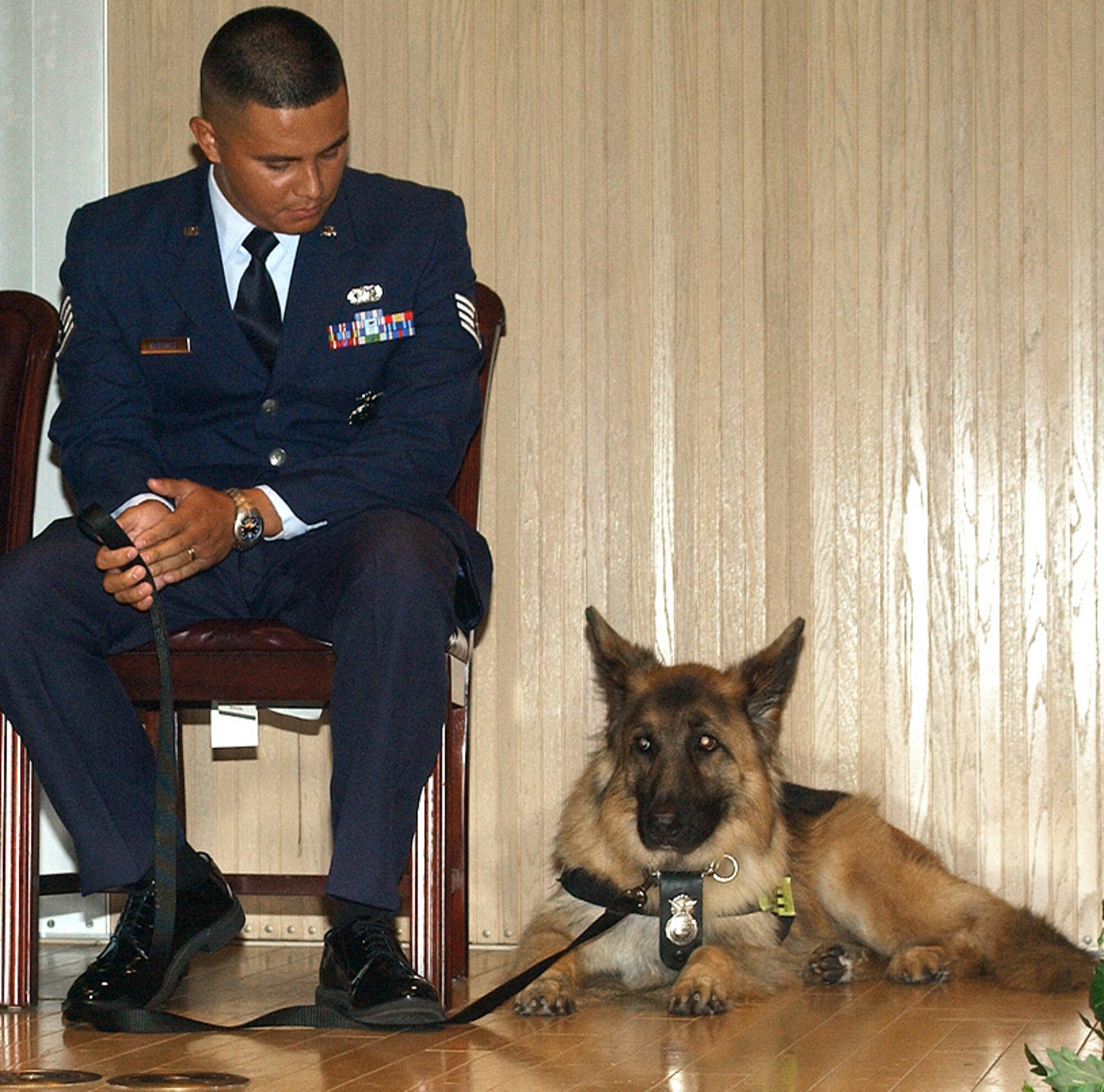 SHEPPARD AIR FORCE BASE, Texas (AFPN) -- Staff Sgt. Pablo Martinez looks down at Dolfy, the sergeant's former partner and new family member, during the military working dog's retirement ceremony July 27.  Dolfy specialized in explosive detection during his five and a half years of service here.  (U.S. Air Force photo by 1st Lt. Nathan Broshear)
