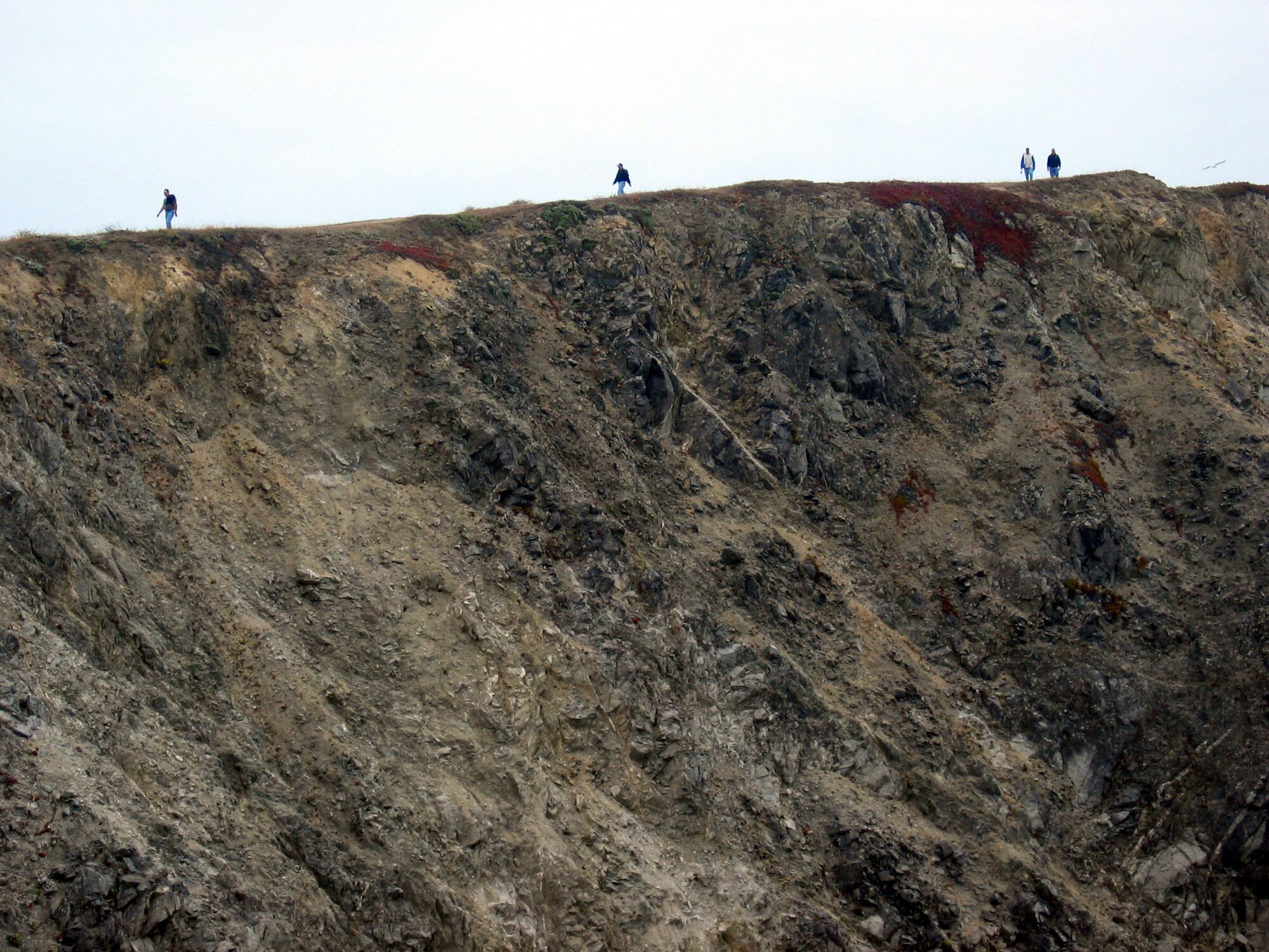 BODEGA BAY, Calif. -- Students from the Coast Guard Chief Petty Officer's Academy hike along the Sonoma coastline during their course June 18.  The five-week course helps chief petty officers make the transition from E-6 to E-7.    The academy reserves 40 slots a year for Air Force senior noncommissioned officers.  (U.S. Air Force photo by 1st Lt. Shannon Nyberg)