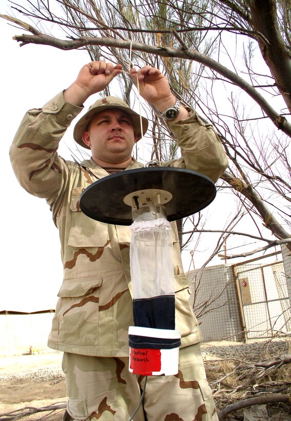 TALLIL AIR BASE, Iraq -- Staff Sgt. Chuck Gumbus hangs an insect trap on a tree here.  The trap is used to catch sand flies.  Airmen have set more than 20 traps on the installation and have caught and examined more than 500 sand flies to see if they are carrying parasites that cause diseases.  Sergeant Gumbus is assigned to the 4077th Expeditionary Medical Group.  (U.S. Air Force photo By Tech. Sgt. Carrie Bernard)