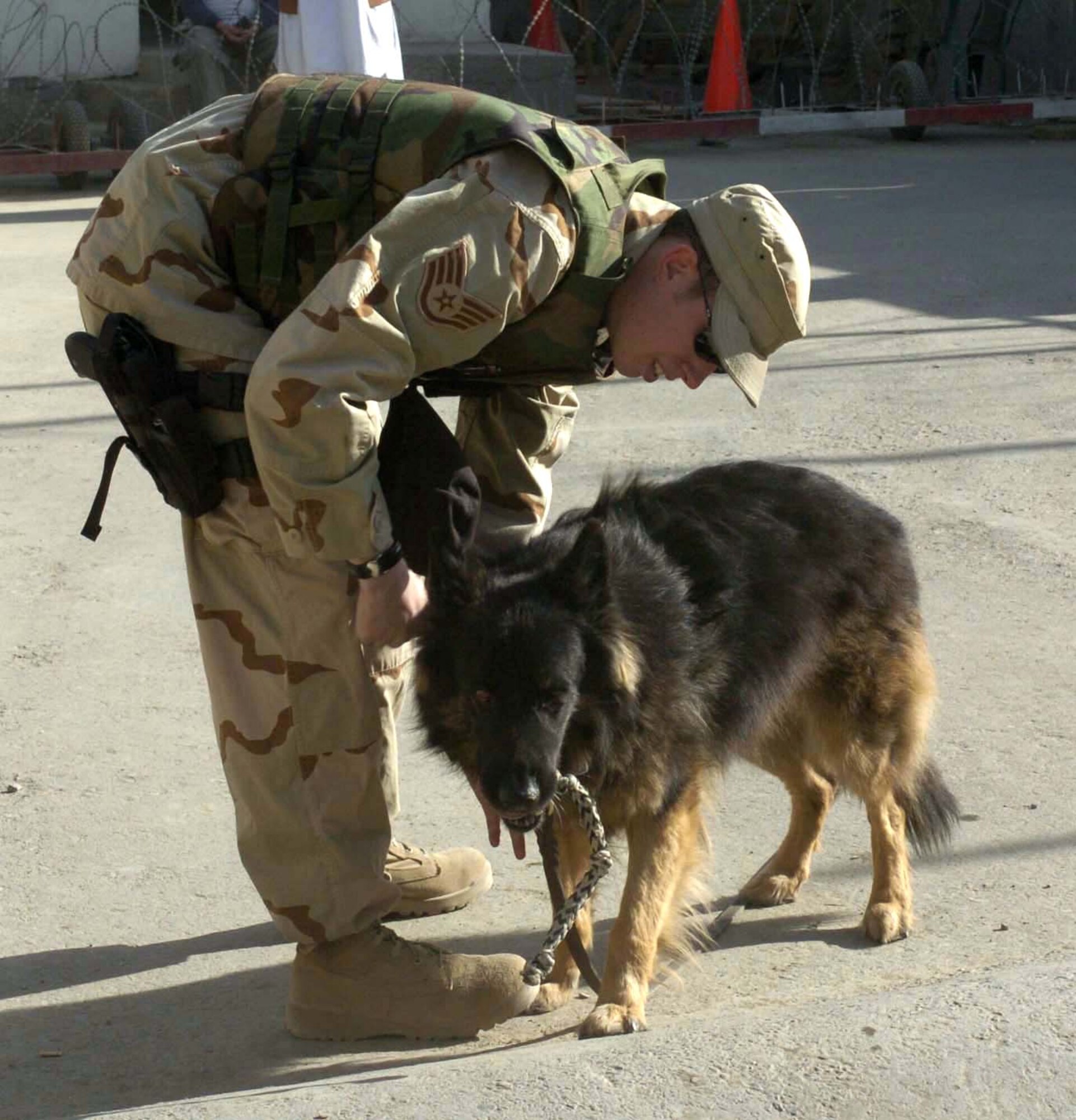 KABUL COMPOUND, Afghanistan -- Staff Sgt. David Yepsen rewards his military working dog, Dax, with a toy after Dax found an item Sergeant Yepsen hid in a vehicle for training purposes.  The two are the only Air Force canine team in Afghanistan.  They are deployed supporting Operation Enduring Freedom from the 43rd Security Forces Squadron at Pope Air Force Base, N.C.  (U.S. Air Force photo by Senior Airman Catharine Schmidt)