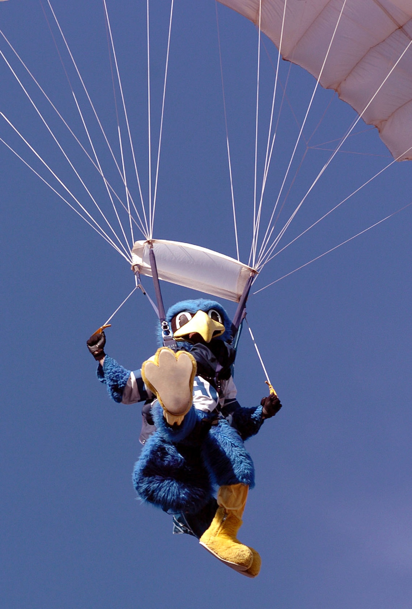U.S. AIR FORCE ACADEMY, Colo. -- The Bird lists skydiving among his many hobbies, claiming the parachute takes all the hard work out of soaring.  The U.S. Air Force academy icon is in its third week of competition for the title of best college mascot in America.  (U.S. Air Force photo by Charley Starr)