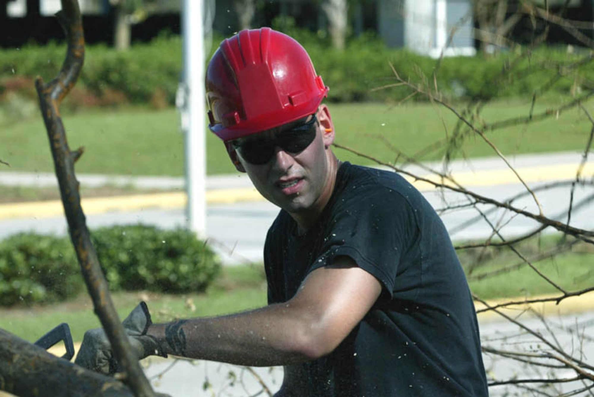 PENSACOLA, Fla. -- Senior Airman Brian Rizzo cuts limbs off of a downed tree at the Pensacola Regional Airport here Sept. 17.  He is assigned to the Virginia Air National Guard's 203rd Red Horse Squadron.  The squadron came to help clean up after Hurricane Frances and stayed after Hurricane Ivan came ashore.  (U.S. Air Force photo by Staff Sgt. Stephen Hudson)