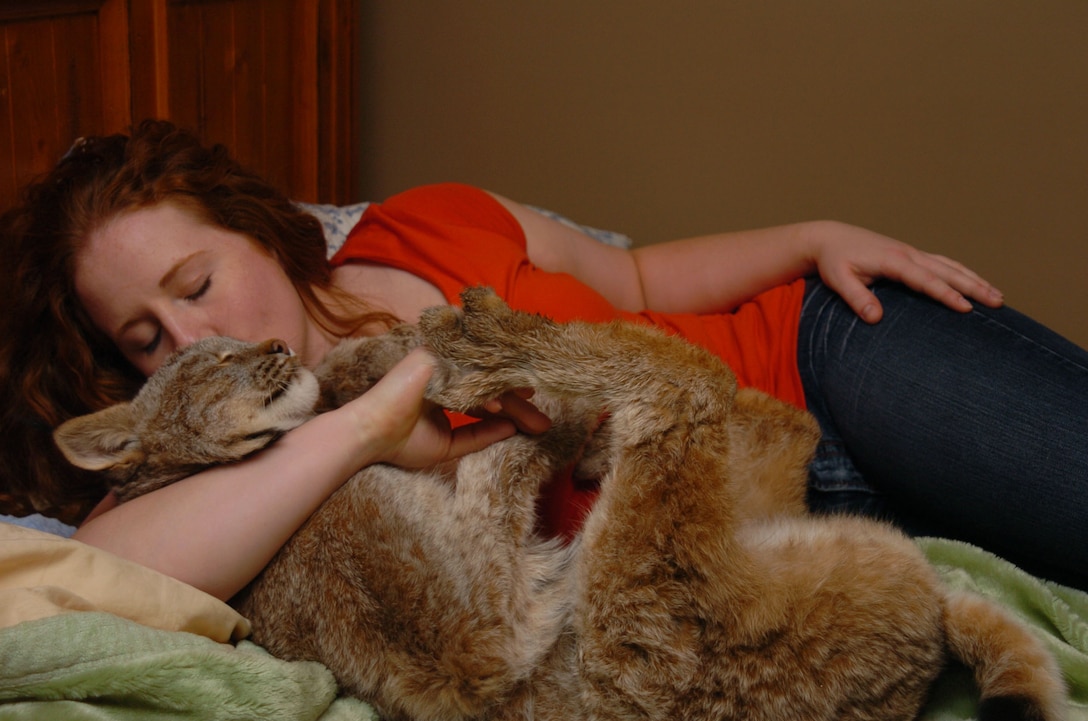 Sgt. Ashley M. Lorenc, a 25-year-old administration clerk with the 9th Marine Corps District, from Derby, Kan., snuggles with her Yukon lynx, Kisa, at her home in Kansas City, Mo. Lorenc has taken care of the 16-month-old, 21-pound bobcat since the cat was only 5-weeks-old and wieghed less than one pound. Their relationship is described as that of a mother and child.