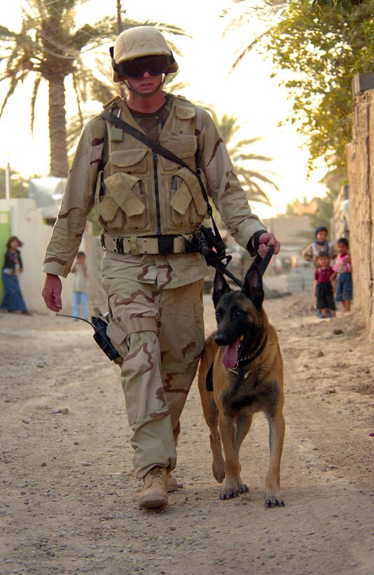 IRAQ -- Staff Sgt. James Richey Jr. walks Jacco toward a house with suspected hidden improvised explosive devices.  Sergeant Richey is deployed from the 96th Security Forces Squadron at Eglin Air Force Base, Fla. (U.S. Air Force photo by Staff Sgt. Suzanne M. Day) 

