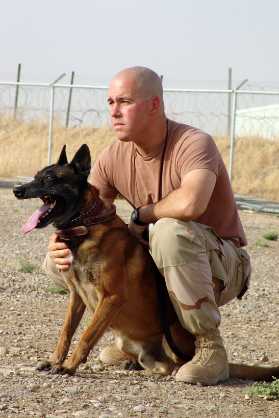 KIRKUK AIR BASE, Iraq -- Staff Sgt. Joseph Crow and his military working dog, Rico, wait for the "aggressor" during a training exercise.  The training has paid off as Sergeant Crow and Rico have caught 26 "bad guys" in the Kirkuk area.  Sergeant Crow is assigned to the 506th Expeditionary Security Forces Squadron.  (U.S. Air Force photo by Tech. Sgt. Christopher Gish)