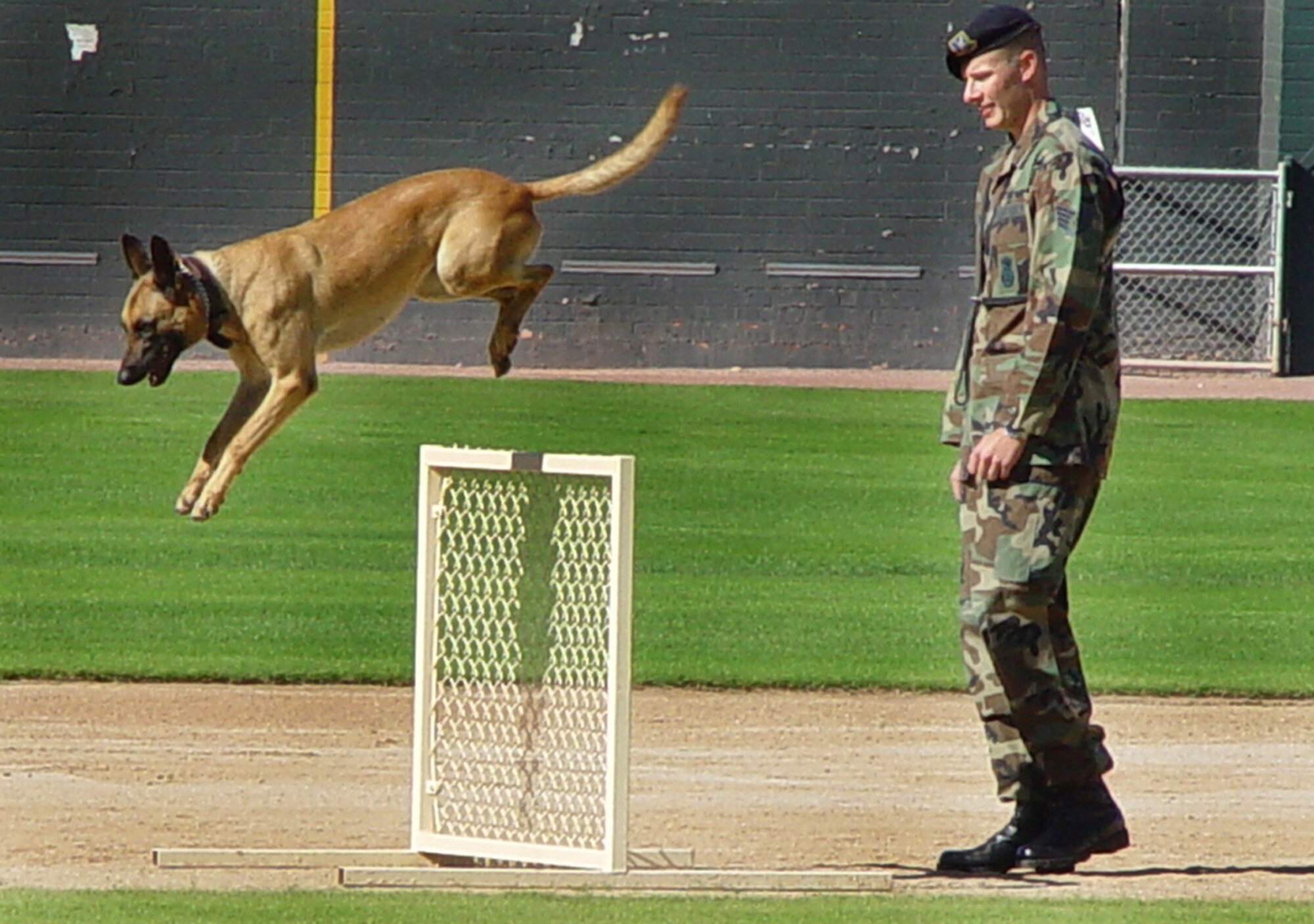TUCSON, Ariz. (AFPN) -- Staff Sgt. Jesse Frank commands his military working dog, Gina, to jump a hurdle in the tactical obedience portion of the Tucson Area Police K-9 Trials. Sergeant Frank and Gina are with the 21st Security Forces Squadron at Petersen Air Force Base, Colo. (U.S. Air Force photo)