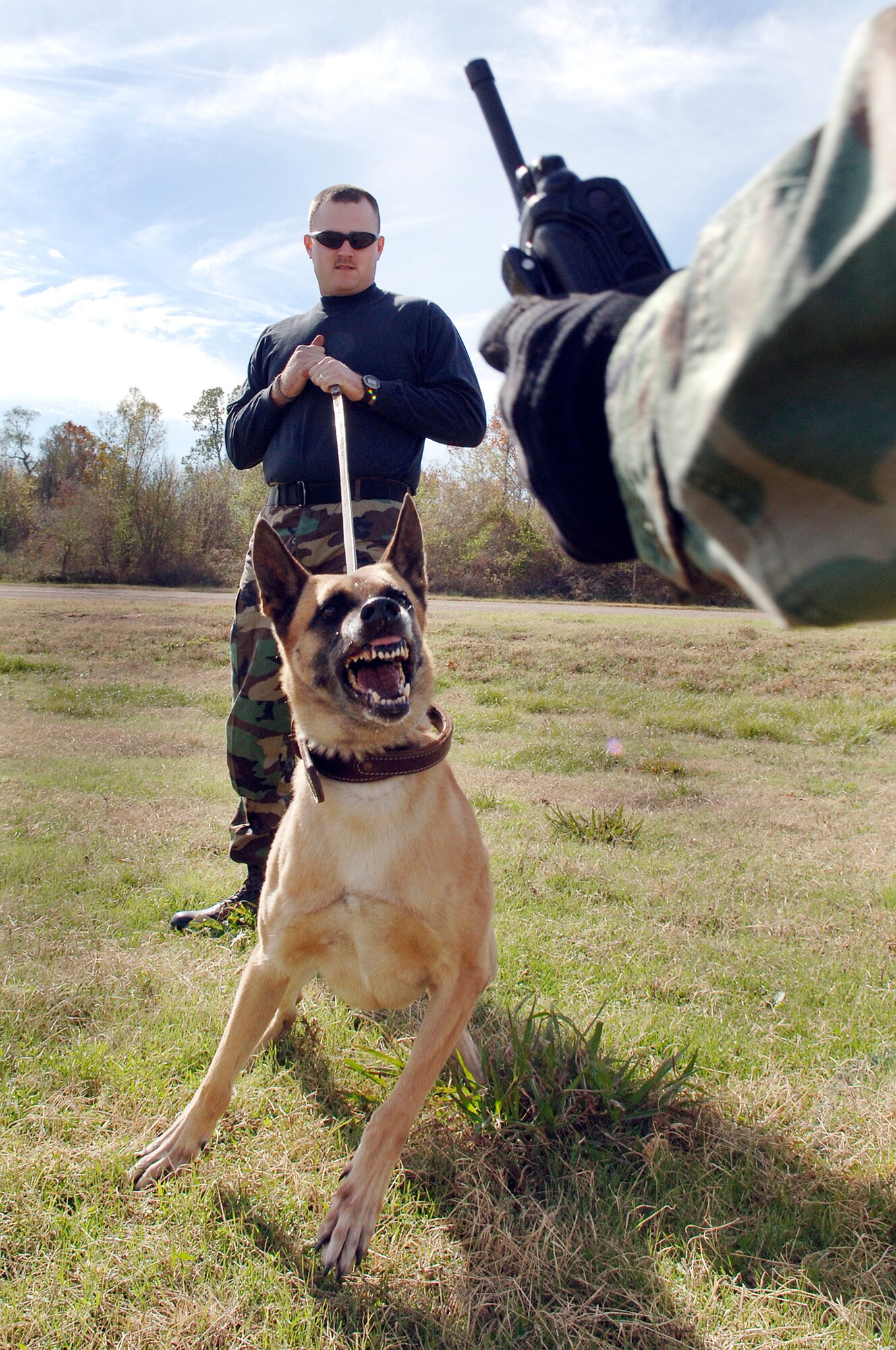 BARKSDALE AIR FORCE BASE, La. (AFPN) -- Staff Sgt. Kristopher Russ holds back his military working dog, Rouge, at the base's expeditionary combat skills training course. The weekly course, which ends this month, prepares Airmen for deployment. Military working dogs are now part of the course to help provide a more realistic training experience. Sergeant Russ and Rouge are both with the 2nd Security Forces Squadron. (U.S. Air Force photo by Senior Airman Stephen J. Otero)
