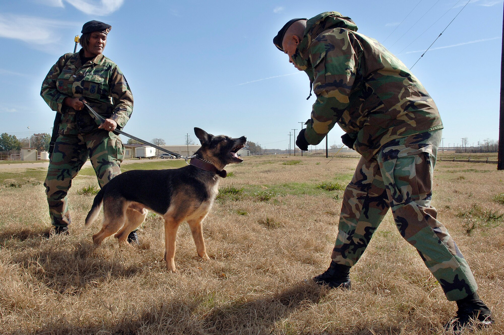 BARKSDALE AIR FORCE BASE, La. (AFPN) -- Senior Airman Tia Blackmon (left) and her military working dog, King, and Tech. Sgt. Marcellus Oliver prepare for the expeditionary combat skills training course here. The weekly course, which ends this month, prepares Airmen for deployment. Military working dogs are now part of the course to help provide a more realistic training experience. Airman Blackmon, Sergeant Oliver and King are with the 2nd Security Forces Squadron. (U.S. Air Force photo by Senior Airman Stephen J. Otero)