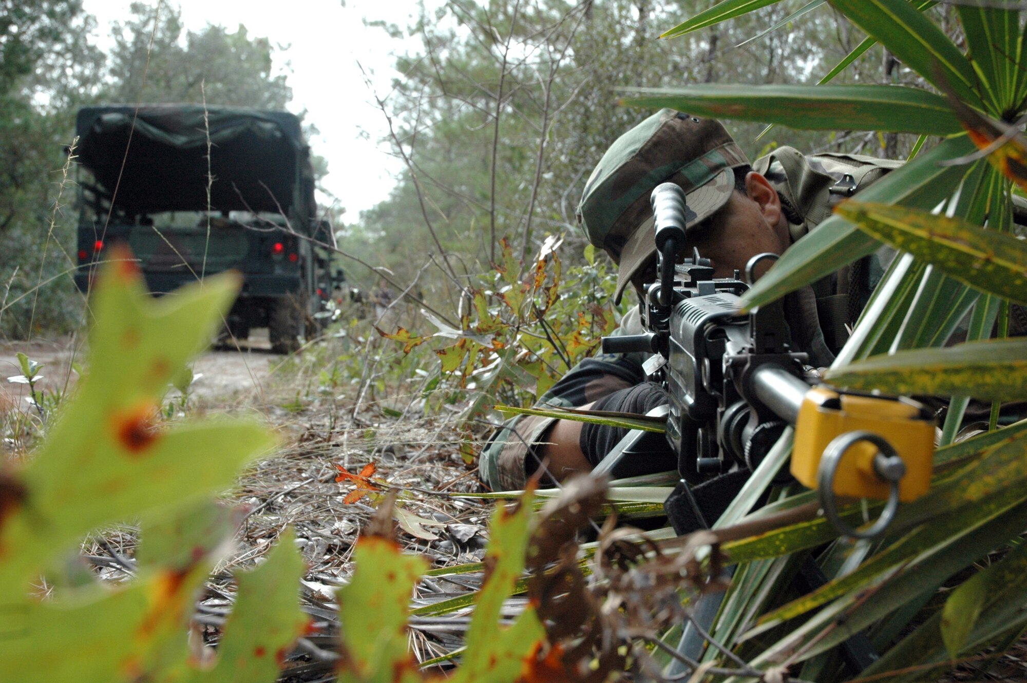 EGLIN AIR FORCE BASE, Fla. (AFPN) -- Airman Brandon Gomes takes cover before helping defend a mounted patrol during Brave Defender training. This is a two-week training course security forces and special forces Airmen attend before deployment. Airman Gomes is with the 96th Security Forces Squadron at Eglin Air Force Base, Fla. (U.S. Air Force photo by Senior Airman Mike Mears)