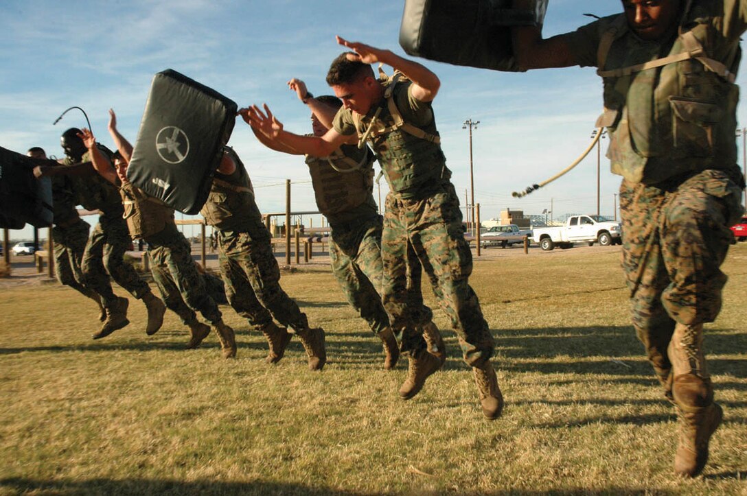 A group of Marines execute ?star jumpers,? an exercise designed to build endurance, Dec. 7 at Ramada Field here as part of a martial arts instructor training course. The purpose of the course is to increase the amount of martial arts trainers on station so other Marines can be afforded the opportunity for continued martial arts training.