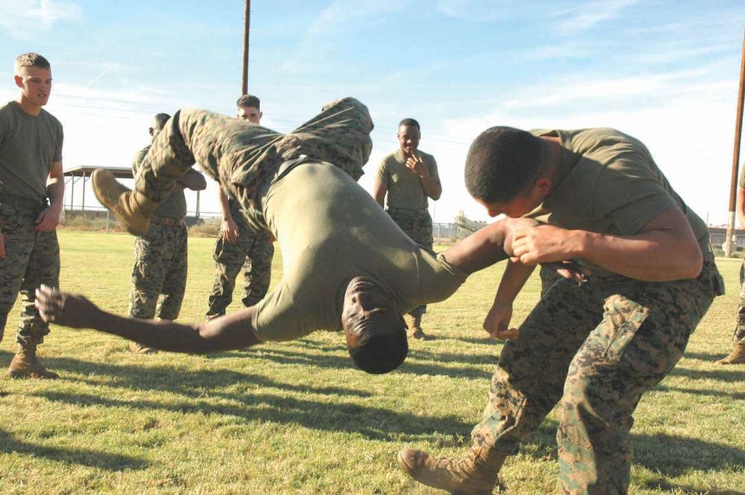 Staff Sgt. Alfredo Topete (right), Marine Attack Squadron 513 ordnance technician and native of Los Angeles, performs a hip throw on Sgt. Erik Costner, Marine Aviation Logistics Squadron 13 calibration technician and native of Buffalo, N.Y., during an exercise called ?bull in the ring? Dec. 7 at Ramada Field here as part of a martial arts instructor training course. ?Bull in the ring? places one Marine in the center of a circle of Marines who then attack the ?bull.? The ?bull? then uses the techniques they have learned to counter the attacks.