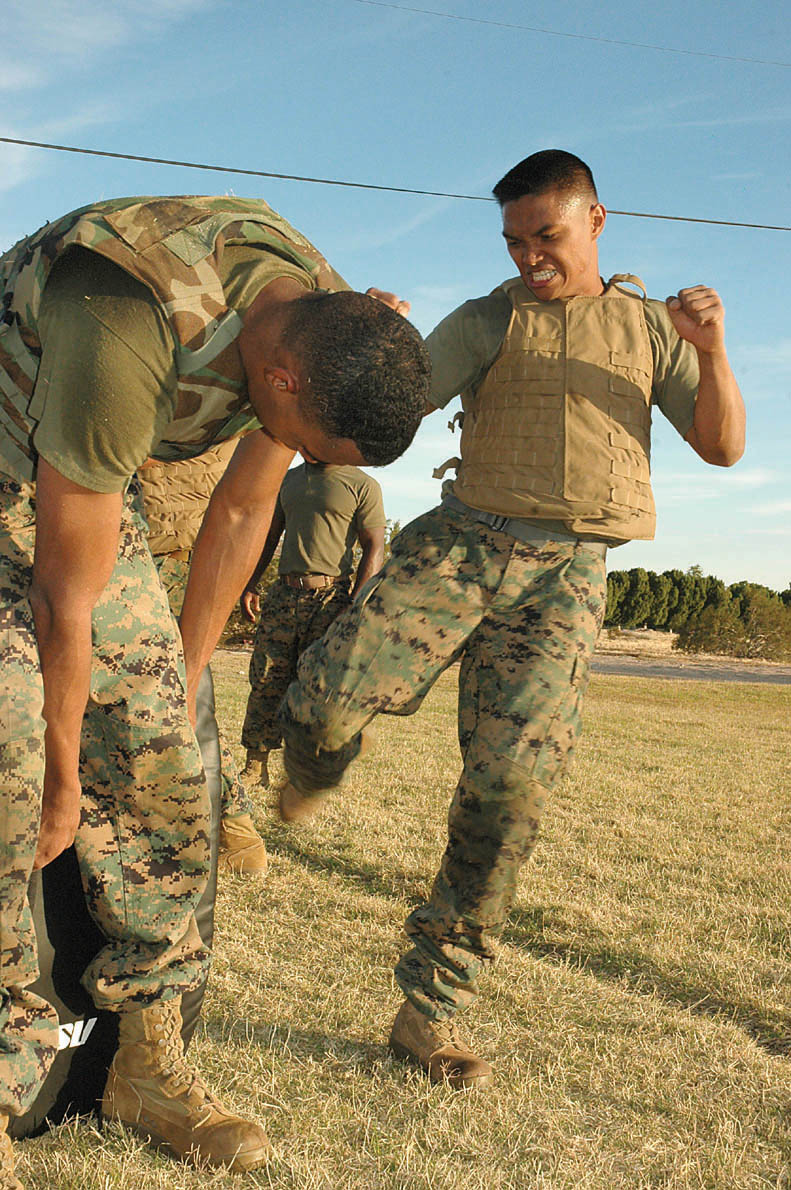 Sgt. Fred Villas (right), Marine Aviation Logistics Squadron 13 hydraulics mechanic and native of Gilbert, Ariz., performs a round kick on a pad held by Cpl. Dedrick McDannell, MALS-13 micro miniature electrician and native of Onley, Va., Dec. 7 at Ramada Field here as part of a martial arts instructor training course. The course was taught by instructor trainers brought in from Naval Air Station Joint Reserve Base Fort Worth, Texas, who were assisted by station martial arts instructors.