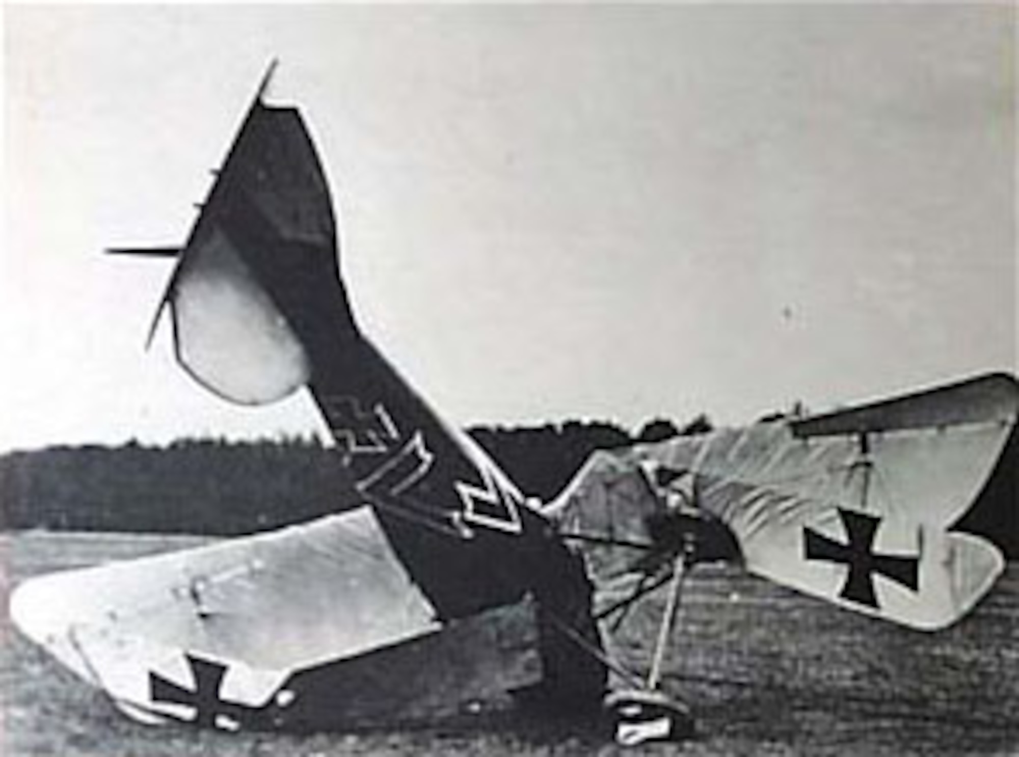 A crashed German Albatross fighter airplane. (U.S. Air Force photo)