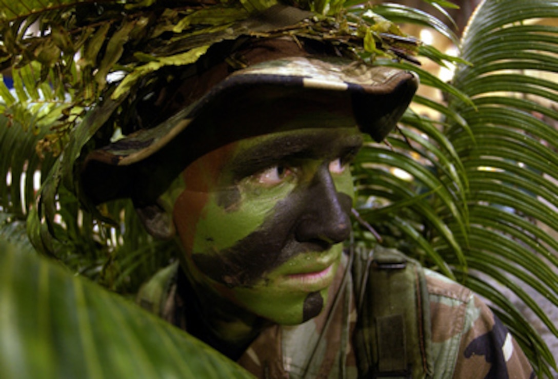 Airman 1st Class Nathan Fitzwater conceals himself in palm leaves using camouflaging and face paint at Andersen Air Force Base, Guam, on Jan. 29, 2005. Fitzwater is an Air Force Fire and Emergency Services member from the 36th Civil Engineering Squadron, 36th Air Expeditionary Wing on Guam. 