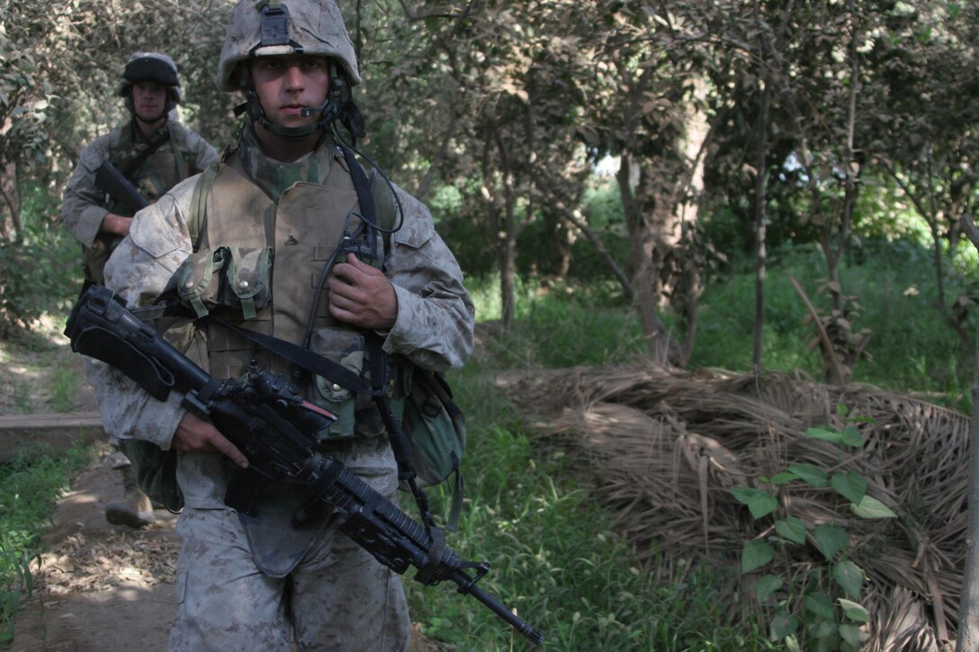 HIT, Iraq (July 1, 2005)- A Marine with 3rd Battalion, 25th Marine Regiment, Regimental Combat Team-2 patrols through a garden during a patrol and cordon and knock in the city during Operation Guardian Sword conducted to clear the city and set-up Iraqi Security Forces firm bases through out the city. The Marines of 2d Marine Division conduct counter-insurgency operations with Iraqi Security Forces to isolate and neutralize anti-Iraqi forces, to support the continued development of Iraqi Security Forces, and to support Iraqi reconstruction and democratic elections in order to create a secure environment that enables Iraqi self-reliance and self-governance. (Official USMC photo by Lance Cpl. Lucian Friel )(NOT RELEASED)