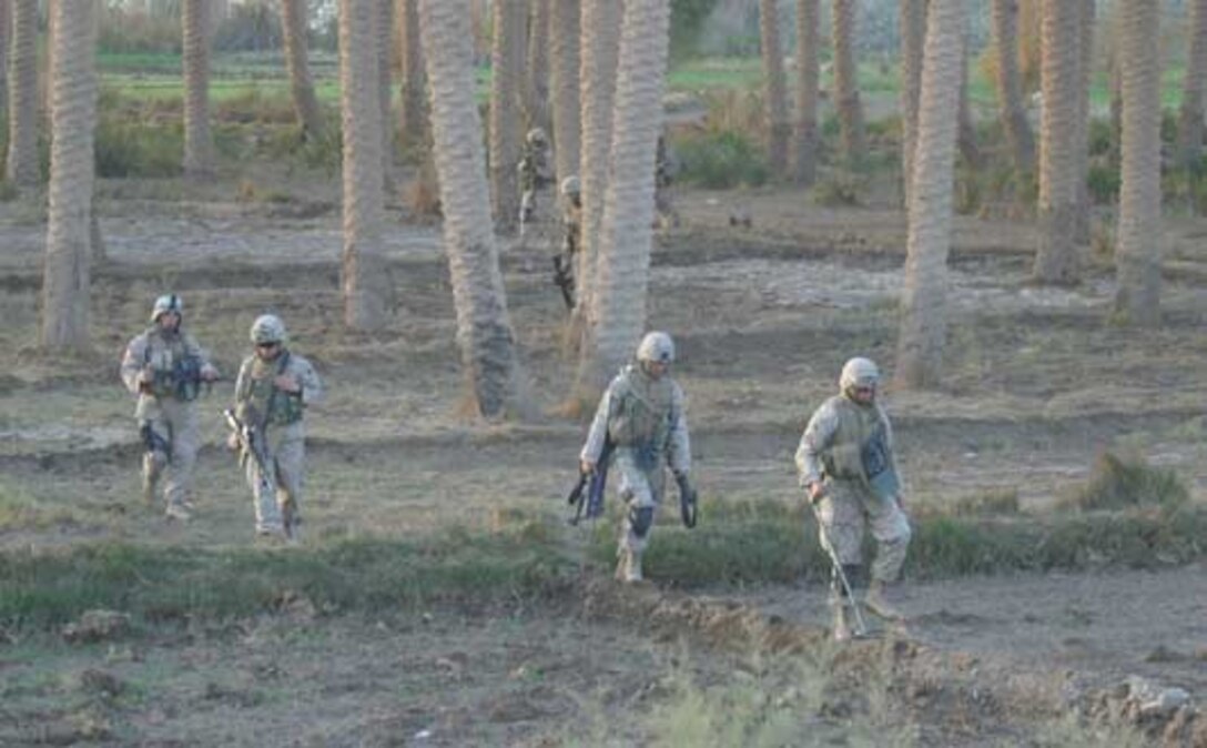 Marines from 2nd Platoon, Company G, 2nd Battalion, 6th Marines move across a field while on patrol in the countryside surrounding the town of Saqlawiyah. The Marines were part of Operation Rebel Yell, which was conducted from Nov. 25 to Dec. 1.