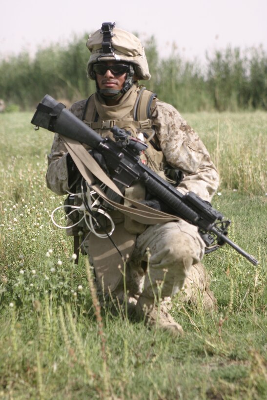 ASRAGIYAH, Iraq - Pfc. Wilson Quizhpi, an infantryman with 4th Platoon, Company C, 1st Battalion, 6th Marine Regiment, provides security in a field here June 2 while conducting 'Operation Hard Knock.'  Company C personnel worked alongside Iraqi soldiers to sweep through the farming community outside Fallujah and confiscate several AK-47 assault rifles.