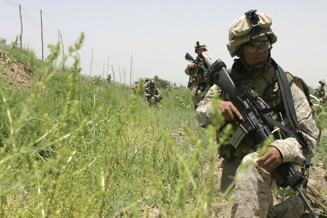 ASRAGIYAH, Iraq - A Marine with Company C, 1st Battalion, 6th Marine Regiment, kneels down to provide security outside a field here June 2 during 'Operation Hard Knock.'  Company C personnel worked alongside Iraqi soldiers to sweep through the farming community outside Fallujah and confiscate several AK-47 assault rifles.