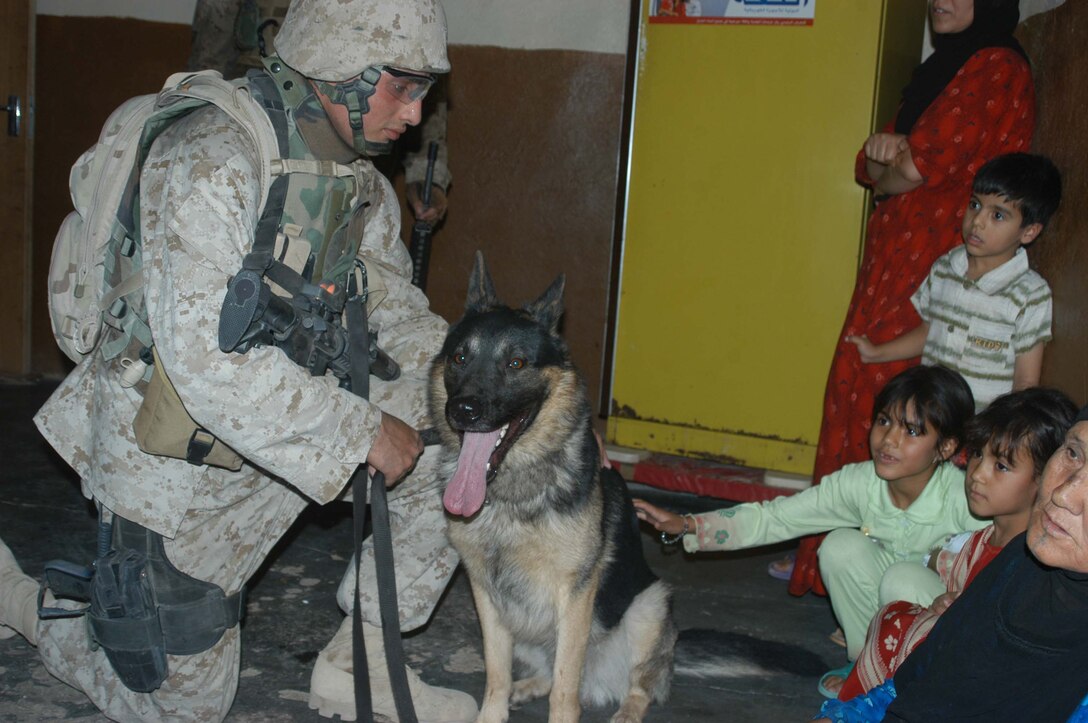 AR RAMADI Iraq (June 30, 2005) - Corporal Christopher Bello, military dog handler with 2nd Military Police Battalion, 2nd Marine Division, currently attached to 1st Battalion, 5th Marine Regiment, kneels down and lets a young, Iraqi girl pat his dog, Kestor, during a mission in the city here June 25 with Company A Marines. The 23-year-old from Queens, New York, and his three-year-old German Shepherd partner conduct daily missions alongside infantrymen with 1st Battalion, 5th Marines in support of Operation Iraqi Freedom. Their mission is to detect explosives, explosive making materials and weapons. Photo by: Cpl. Tom Sloan