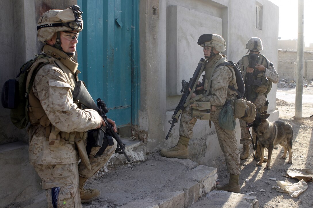FALLUJAH, Iraq - Lance Cpl. Caleb Clugston, an infantryman with 2nd Platoon, Company B, 1st Battalion, 6th Marine Regiment, left; Lance Cpl. Raleigh Krigbaum, a fellow infantryman, middle; and Cpl. Chris Mann, a K-9 handler serving in direct support of 1st Battalion, 6th Marine Regiment, right, prepare to enter a household here July 7.  Company B personnel conducted Operation Hard Knock alongside Iraqi Security Forces here, during which the troops wired off entire neighborhoods and searched through each house for concealed weapons and explosives.