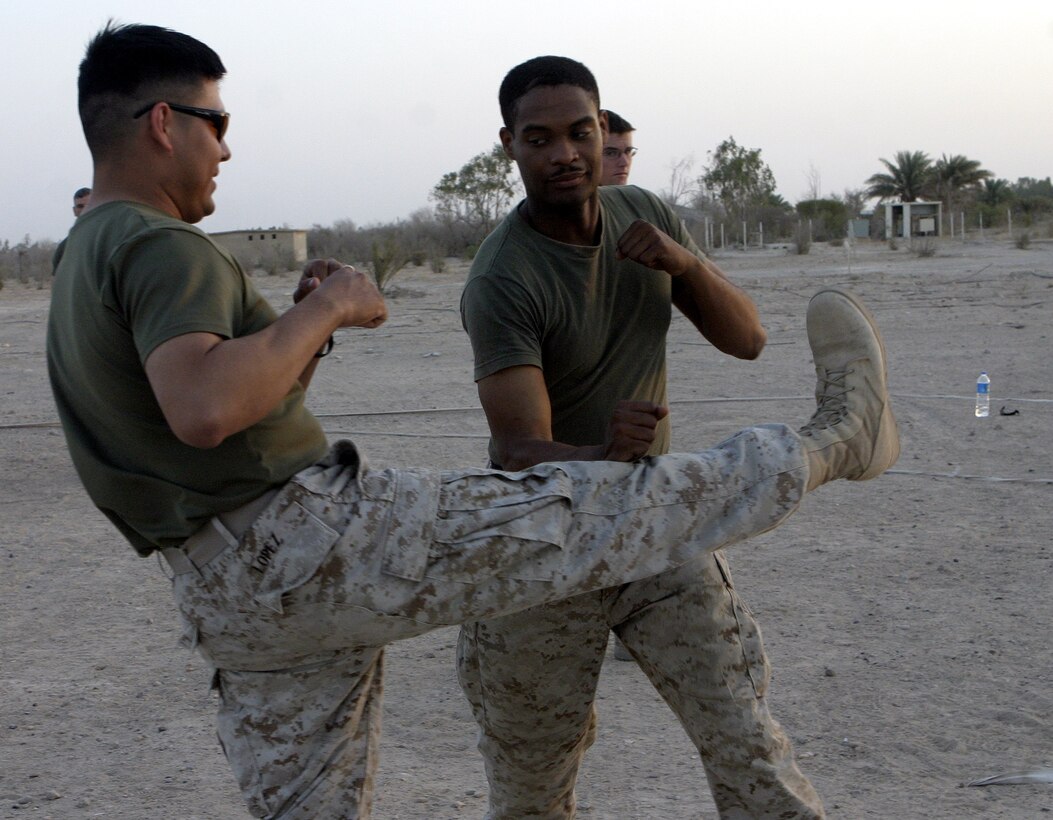 CAMP BAHARIA, Iraq - Petty Officer 2nd Class Phillip Jean-Gilles, a corpsman with 1st Battalion, 6th Marine Regiment's battalion aid station, blocks Seaman Luis Lopez's kick during a martial arts training session here July 29.  The battalion's corpsmen and chaplain received instruction on how to perform self-defense maneuvers such as countering choke holds and various types of strikes.